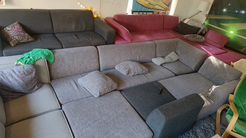 Dé Hondenmand - Groningen pet otel görseli 3