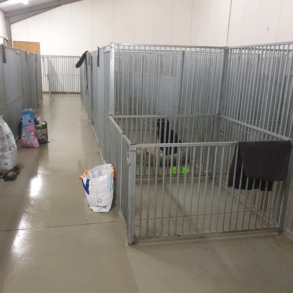Dierenpension Ellerhuizen - Groningen pet otel