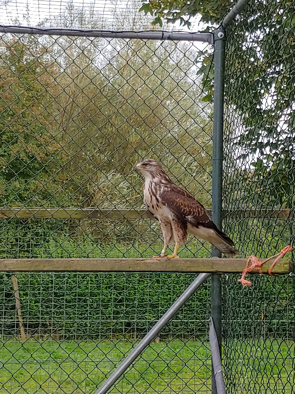 Fauna Visie - Groningen pet otel görseli 3