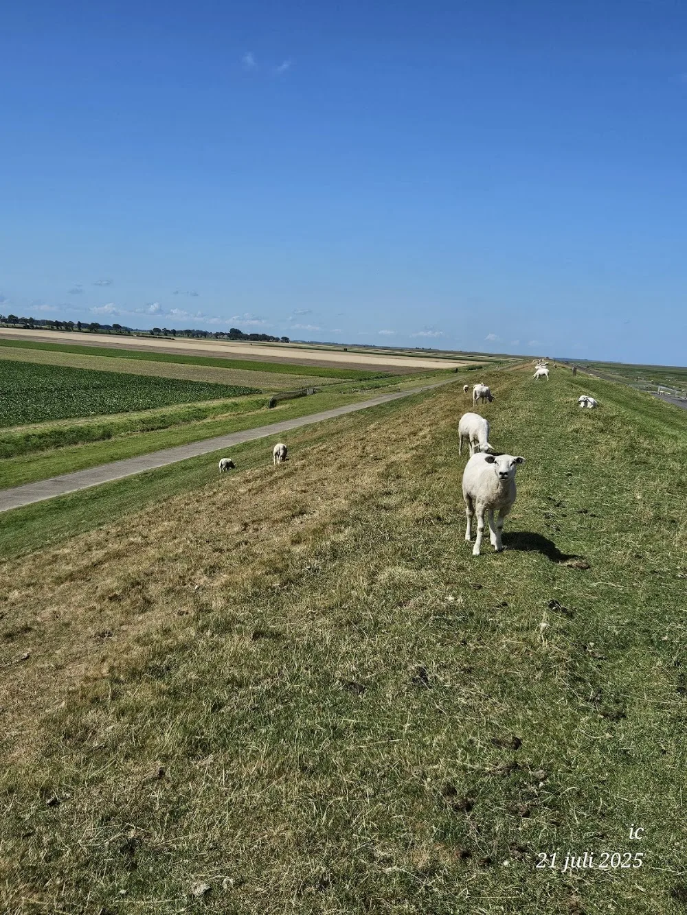 Fauna Visie - Groningen pet otel görseli 4