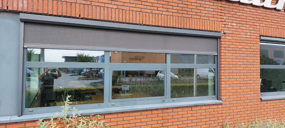 Hondenopvang in huiselijke kring - Groningen pet otel