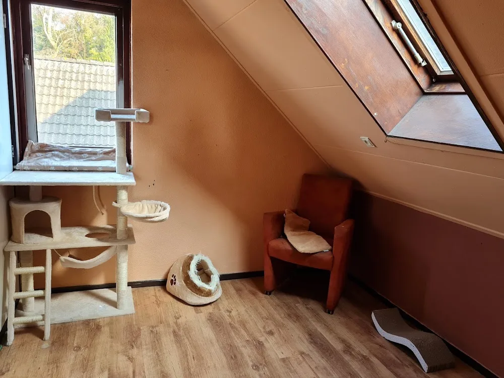 Kattenhotel Ooijevaar - Groningen pet otel