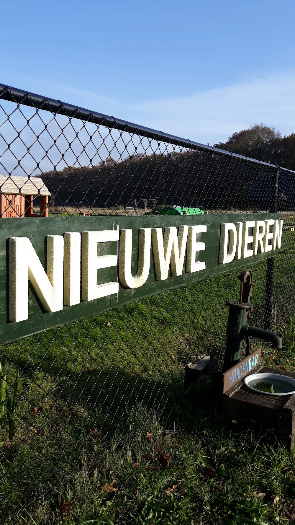 Nieuwe Dieren Nooitgedacht - Groningen pet otel görseli 2