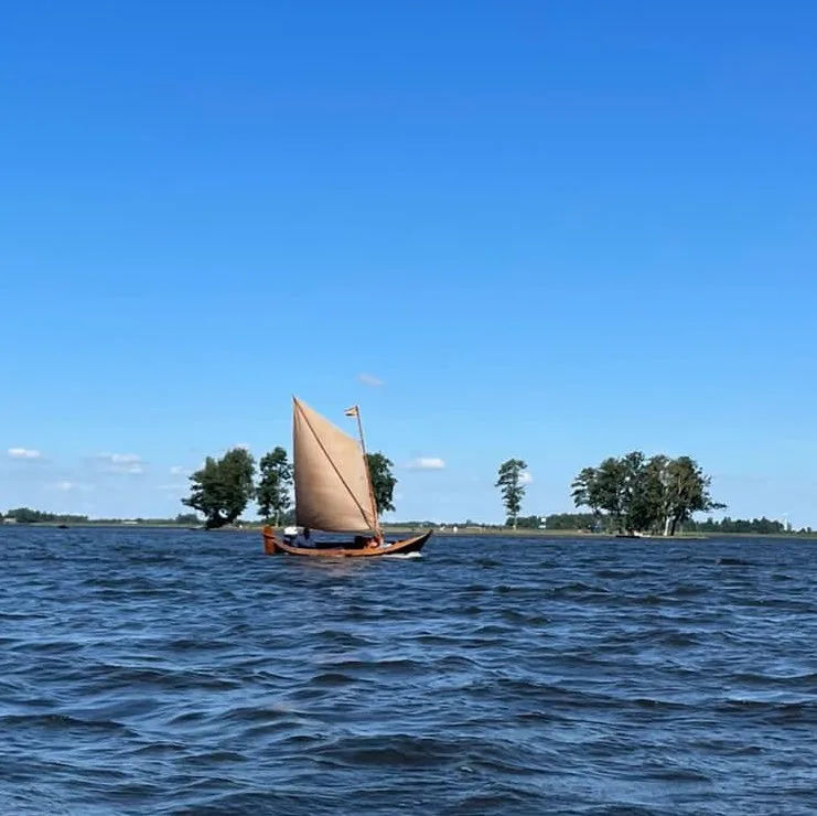 Nieuwe Dieren Nooitgedacht - Groningen pet otel görseli 5