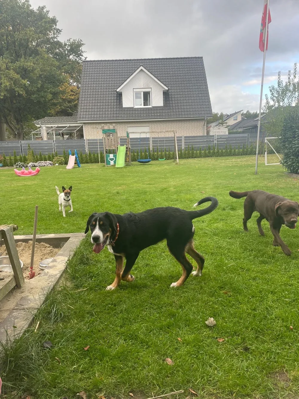 Aileens Pfotenliebe - Großenkneten pet otel görseli 3