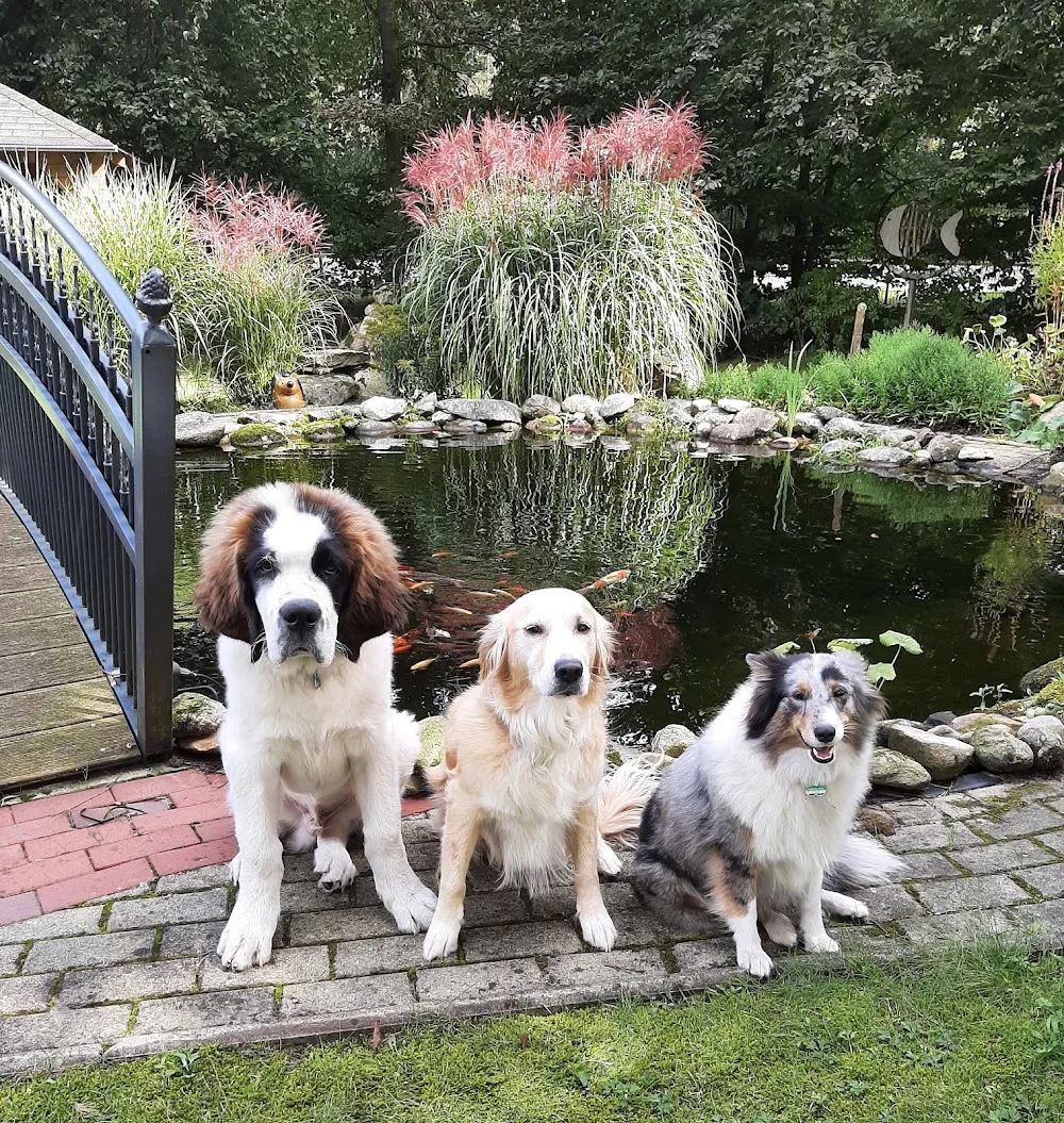 Hundepension Ernst - Großenkneten pet otel