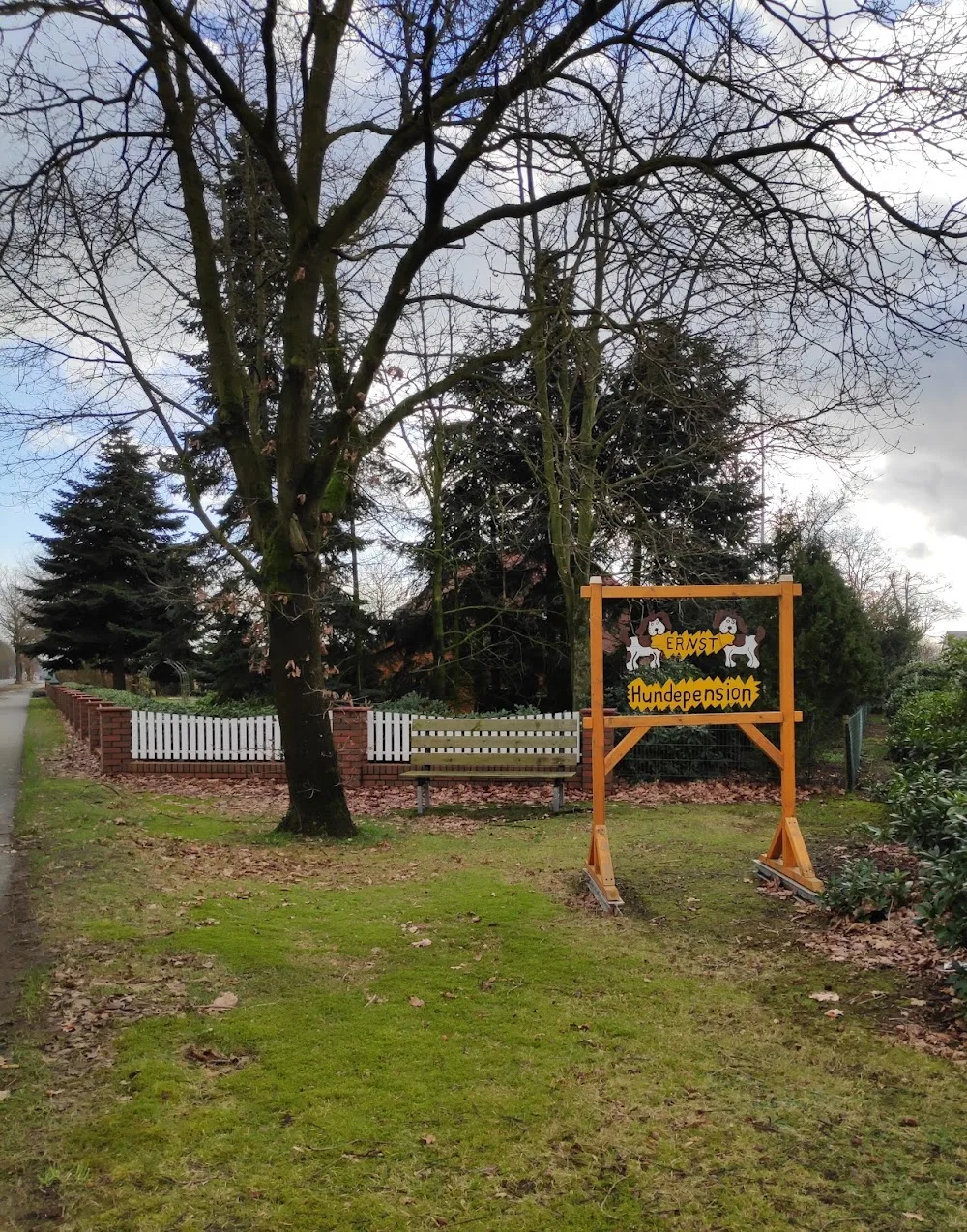 Hundepension Ernst - Großenkneten pet otel görseli 3