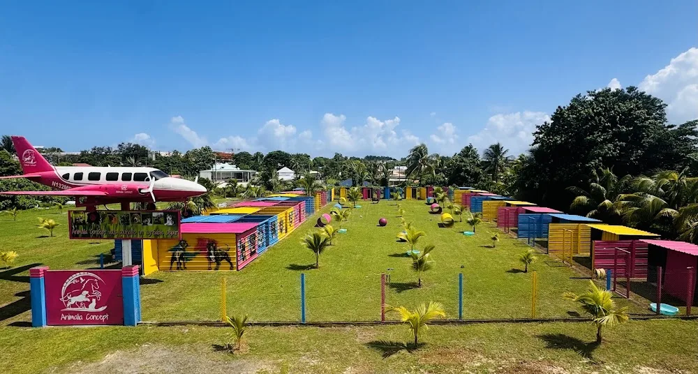 Animalia concept - Guadeloupe pet otel