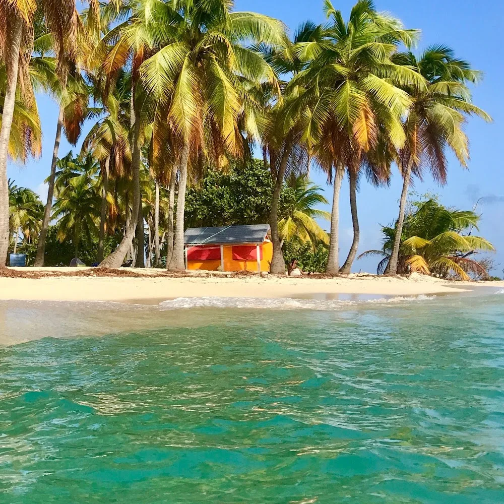Gwada RonRon - Guadeloupe pet otel görseli 5