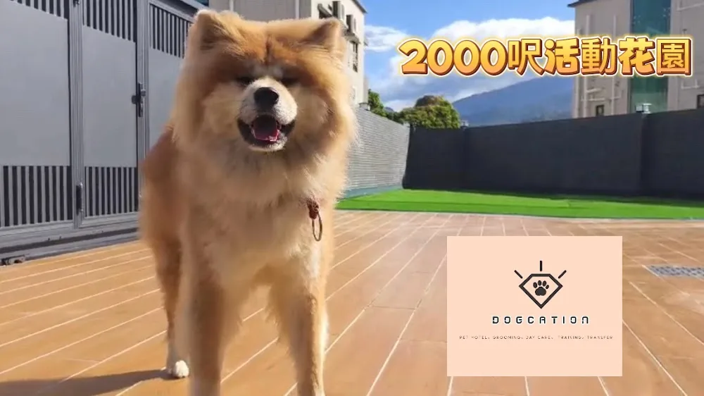 Dogcation Pet Hotel - Guangxi pet otel görseli 2