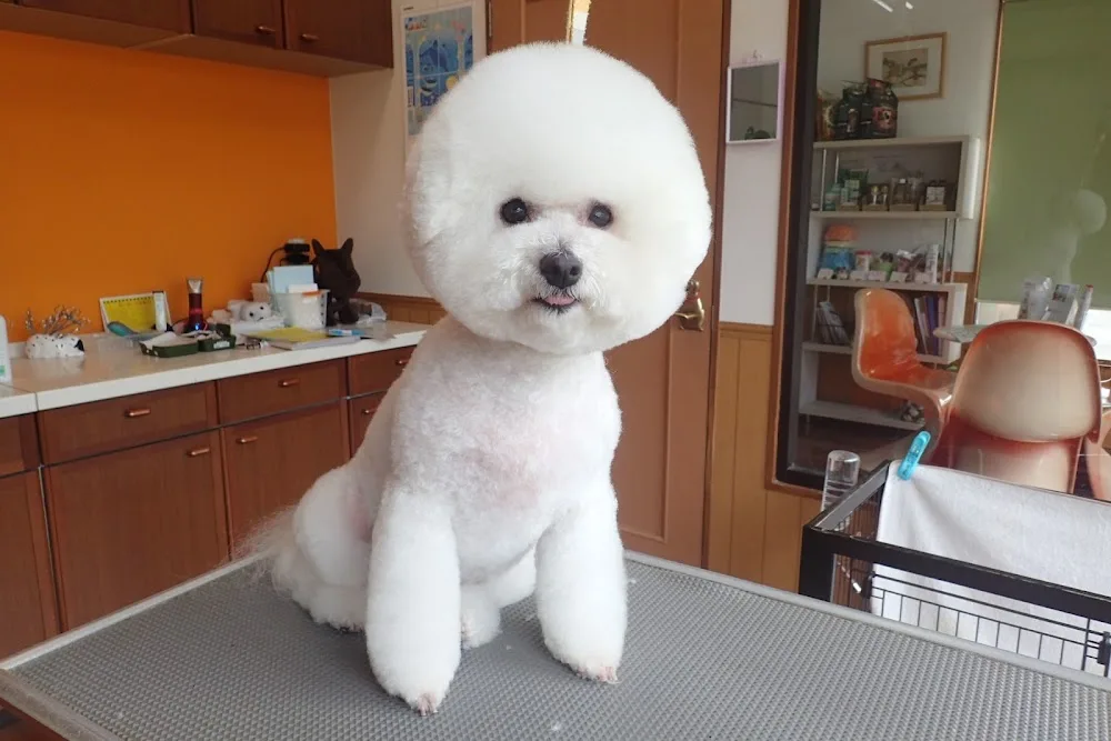 Dog Grooming & Hotel MANDI - Gunma pet otel görseli 3