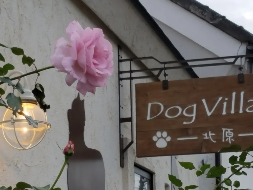 Dog Villa 北原 - Gunma pet otel görseli 3