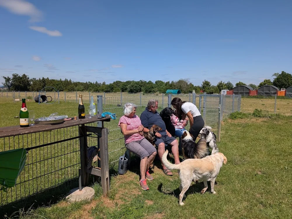Bayerische Hundeschule Tierpension Somann - Gutenstetten pet otel