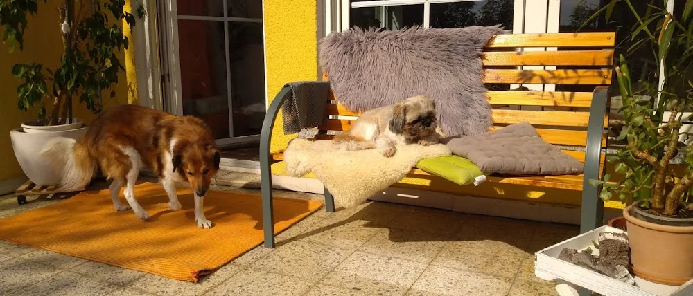 Die kleine Hundepension - Claudia Schneider - Gutenstetten pet otel görseli 2