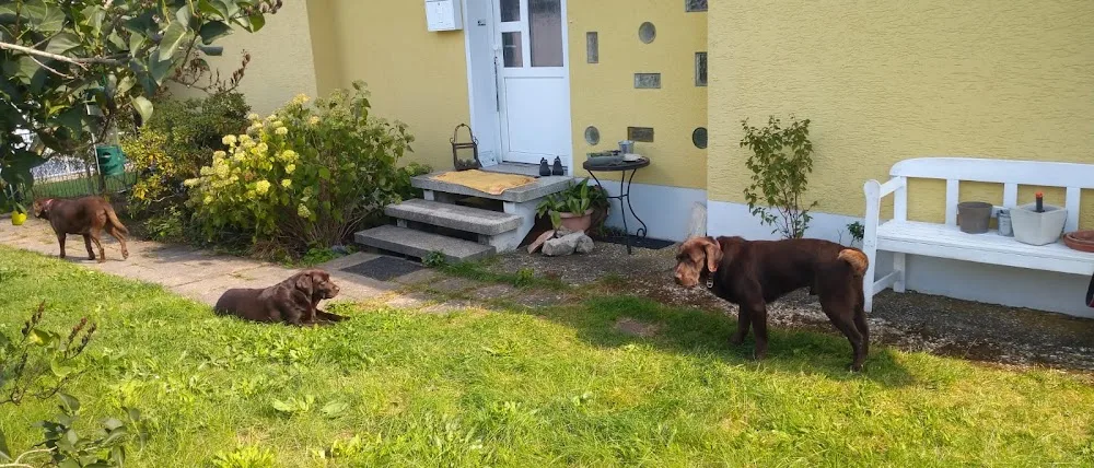Die kleine Hundepension - Claudia Schneider - Gutenstetten pet otel görseli 3