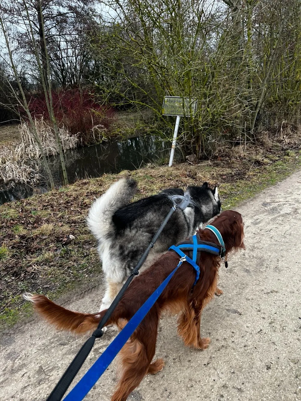 Hundepension Botz - Gutenstetten pet otel