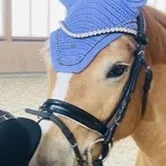 Hundeschule Hoffnung - Gutenstetten pet otel görseli 4