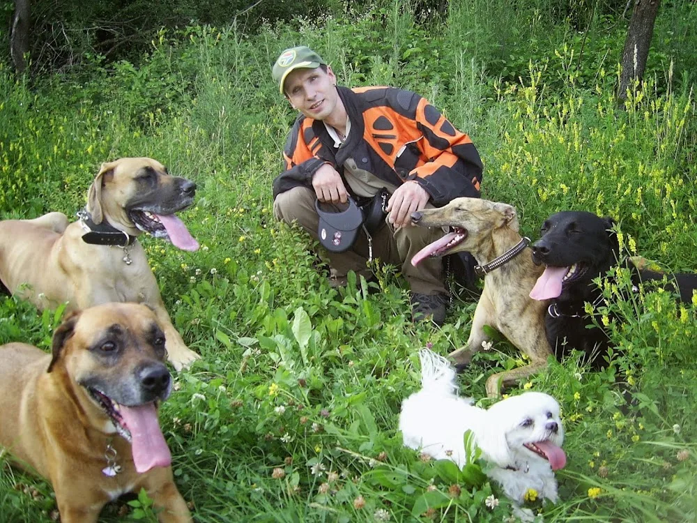 Hundetraining bvl & Tierpension Dominik Lang - Gutenstetten pet otel görseli 2