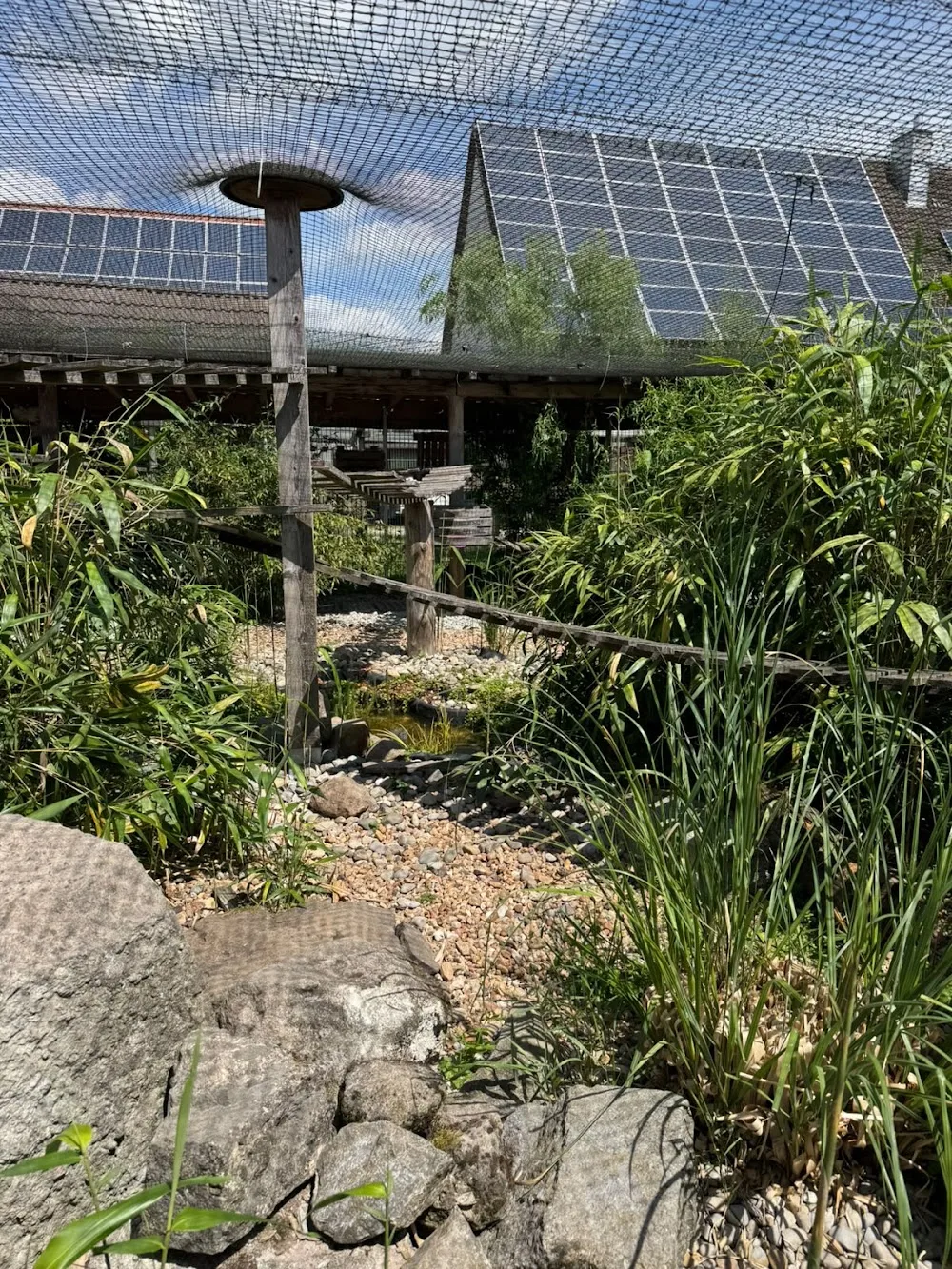 Katzenpension Fichtenhof - Gutenstetten pet otel görseli 3