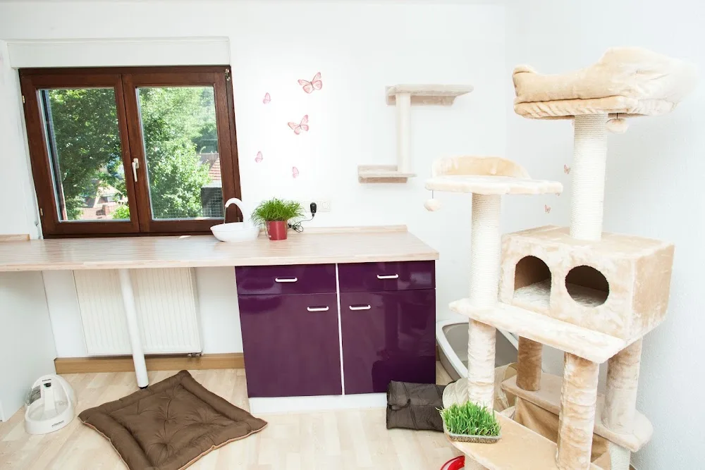 Katzenpension Herzenswunsch - Gutenstetten pet otel görseli 3