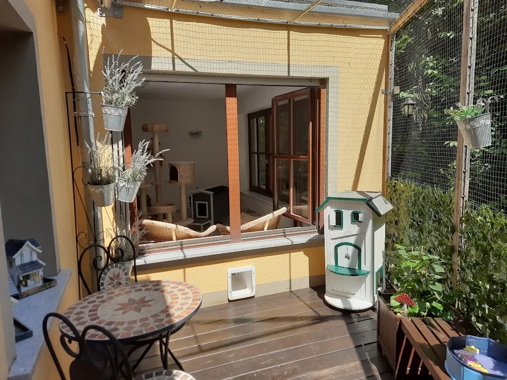 Katzenpension Klotz - Gutenstetten pet otel
