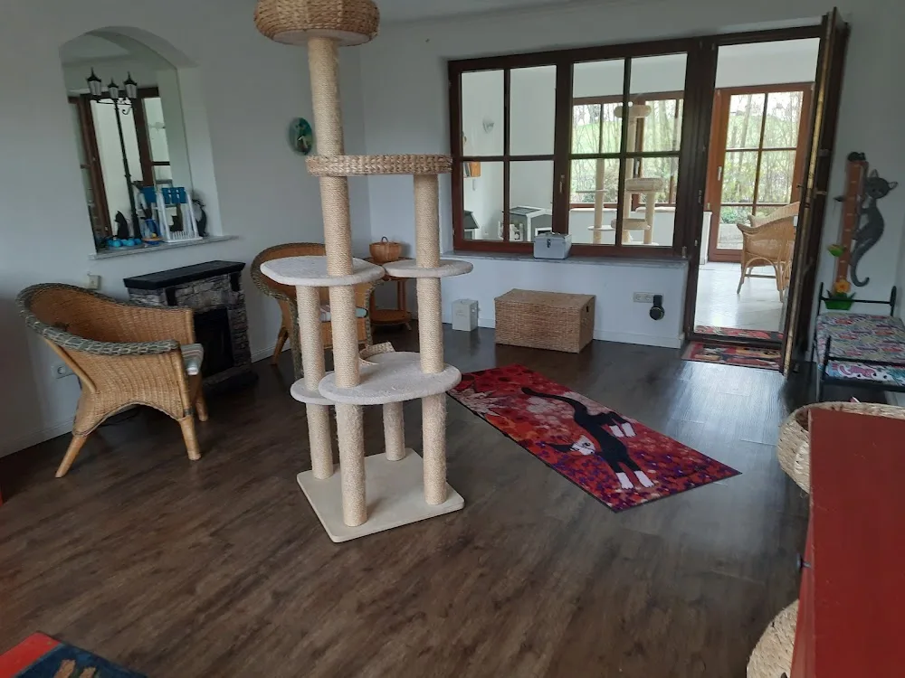 Katzenpension Klotz - Gutenstetten pet otel görseli 3