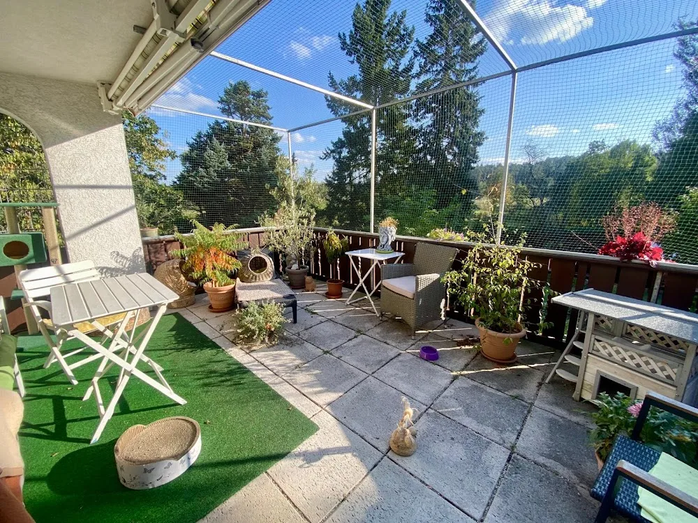 Katzenpension - Marion Hymon - Gutenstetten pet otel görseli 2