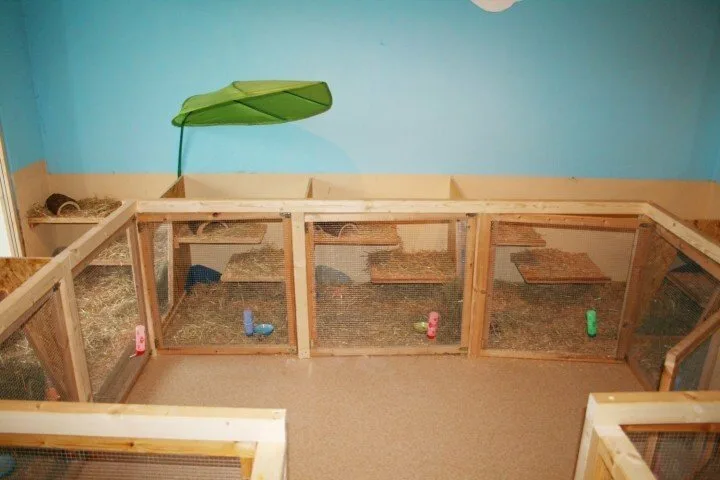 Körner Tierhotel - Gutenstetten pet otel
