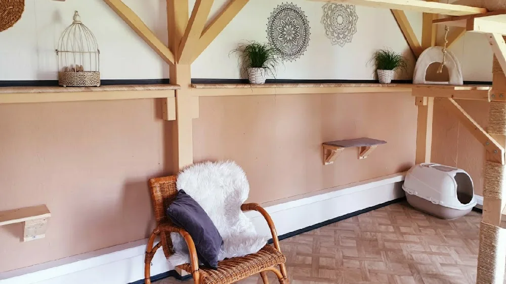 Livi's Cat Inn - Gutenstetten pet otel