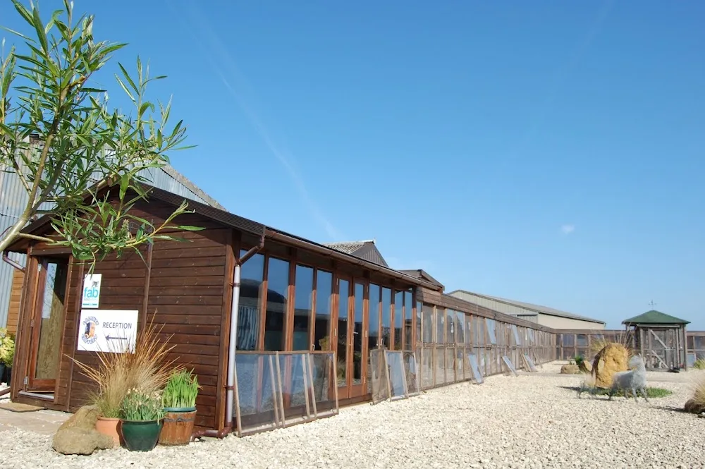 Calcutt Cattery - Guthrie pet otel görseli 2