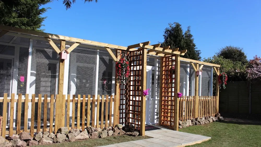 Longcroft Luxury Cat Hotel Margate - Guthrie pet otel