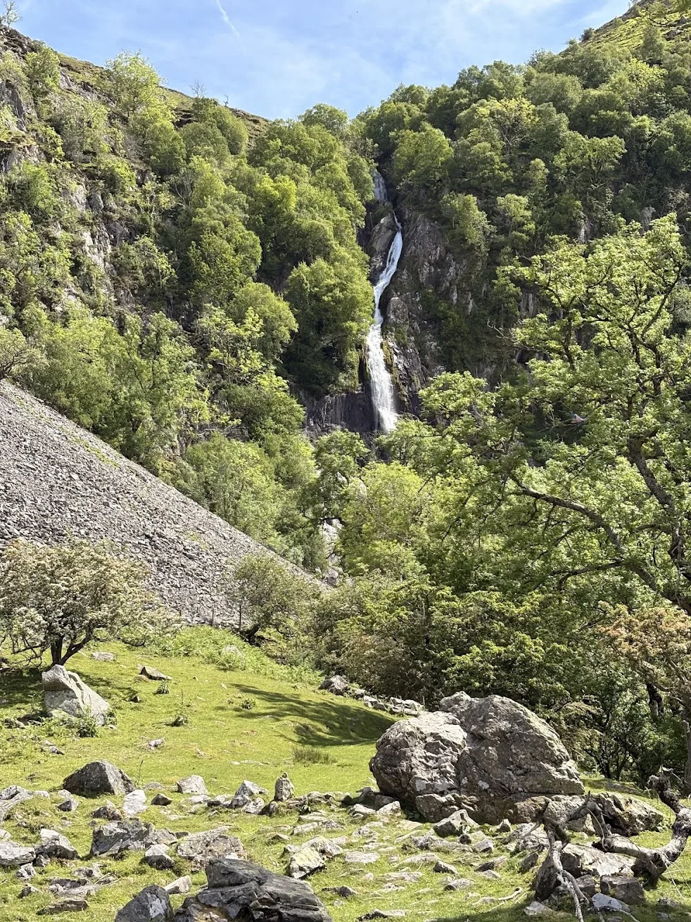 Aber falls Kennels and Cattery - Gwynedd pet otel