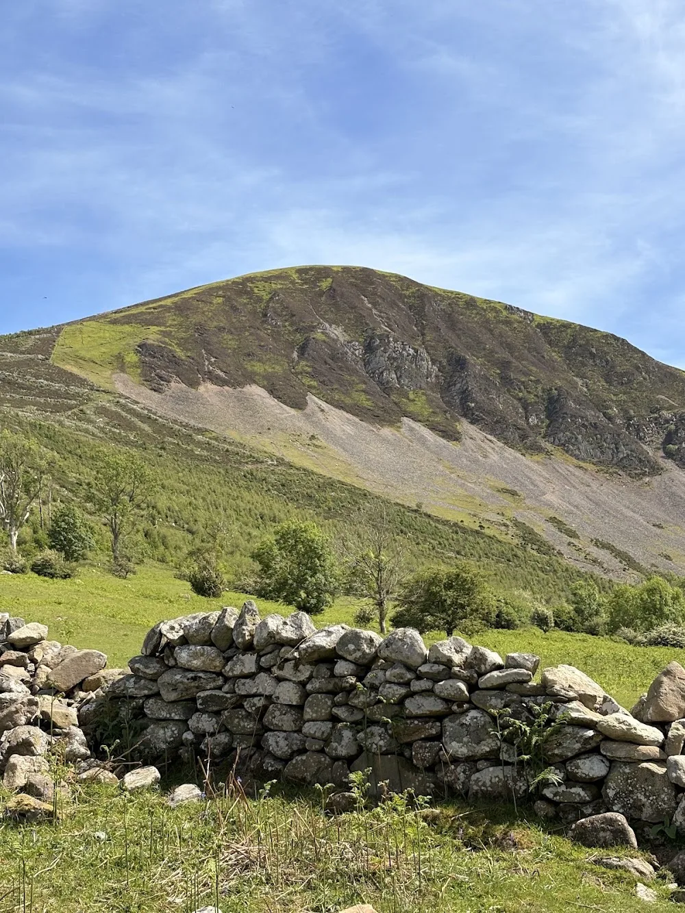 Aber falls Kennels and Cattery - Gwynedd pet otel görseli 3