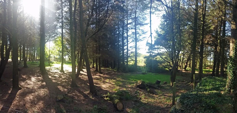 Arnwen Tyn Rhodd Boarding Kennels and Cattery - Gwynedd pet otel