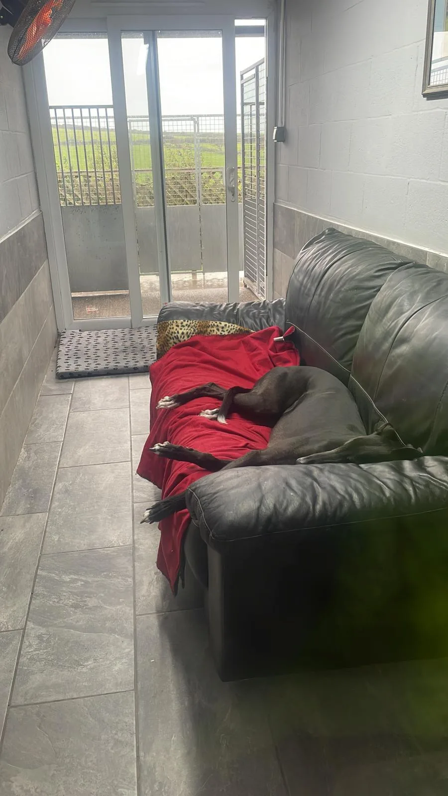 Bodowen Luxury Boarding Kennels - Gwynedd pet otel