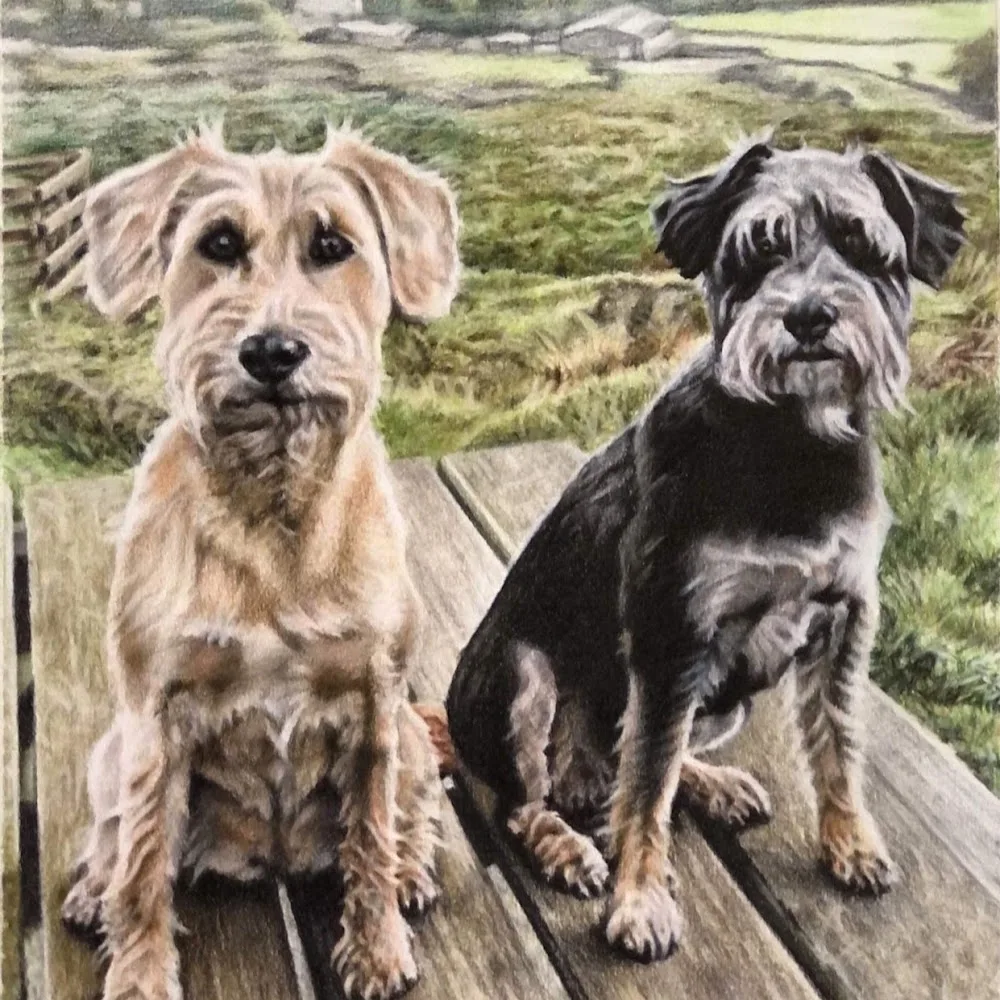 Cwm Main dog day care & boarding - Gwynedd pet otel görseli 5
