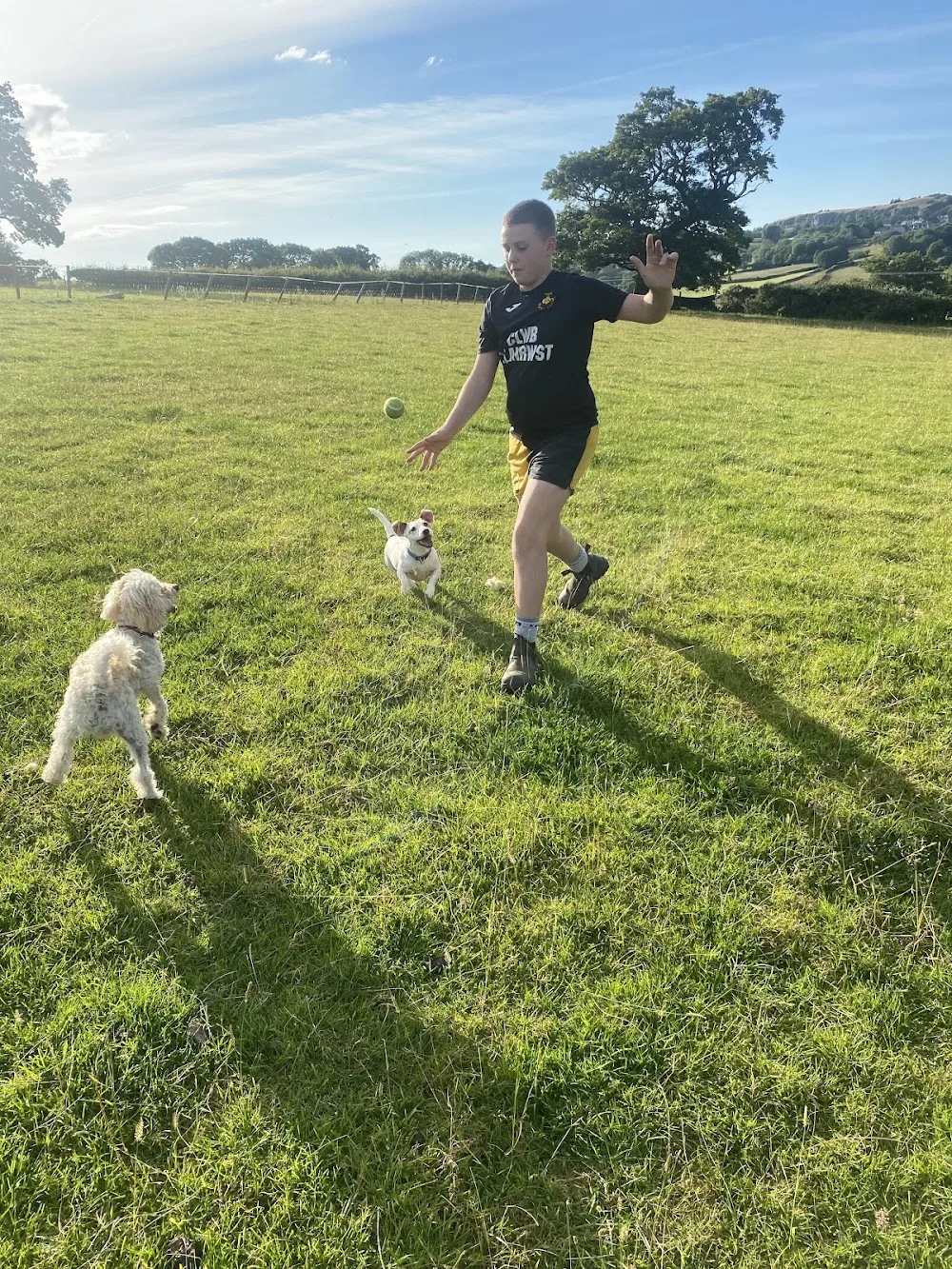 Llanerch indoor & outdoor boarding kennels - Gwynedd pet otel görseli 3