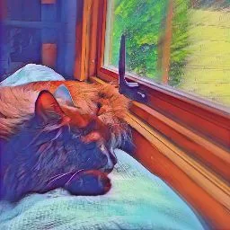 Llangaffo Cattery - Gwynedd pet otel görseli 2
