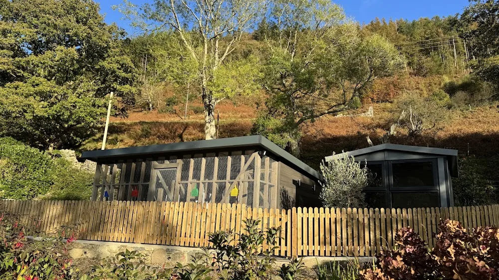 The Cat House Dolfawr - Gwynedd pet otel görseli 2
