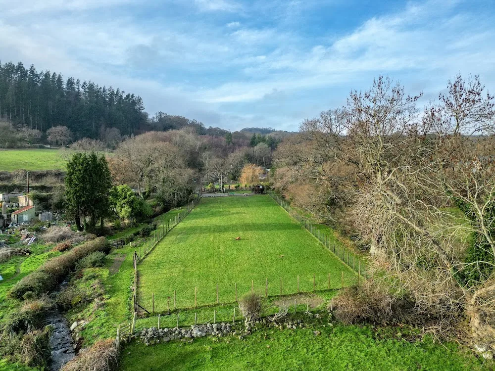 Tyddyn Bach Dog Park Homeboarding and Daycare - Gwynedd pet otel