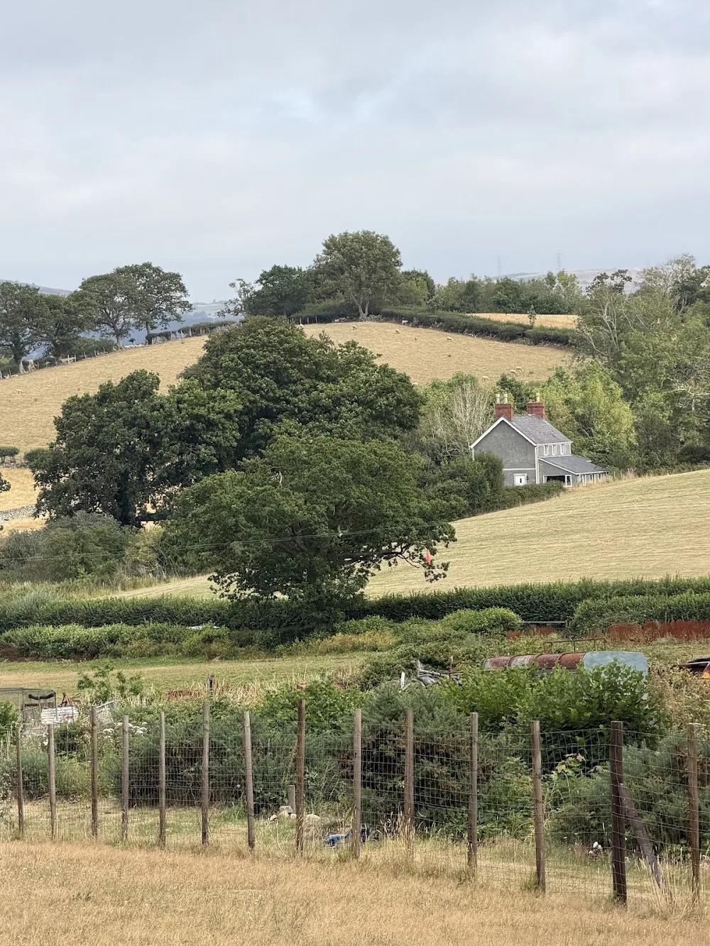 Tyddyn Bach Dog Park Homeboarding and Daycare - Gwynedd pet otel görseli 3
