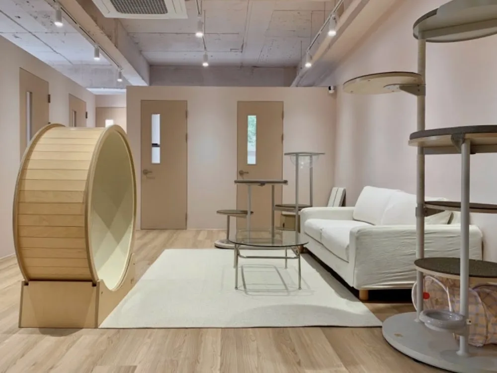 Cat Hotel Seoul (에어묘앤비) - Gyeonggi pet otel