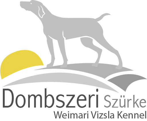 Dombszeri Szürke Weimari Vizsla Kennel - Győr-Moson-Sopron County pet otel