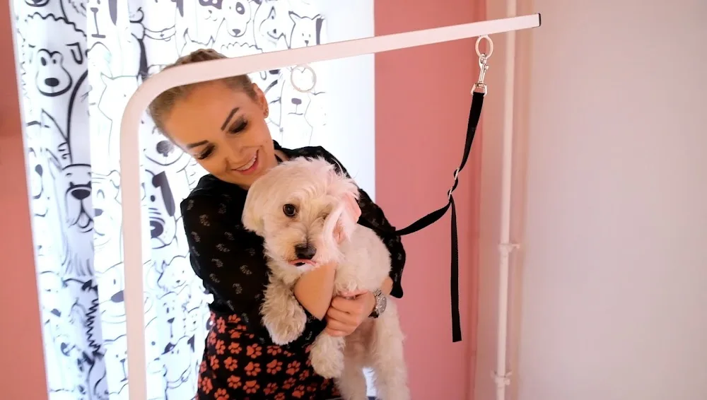 Hachiko Tekirdağ Pet Kuaför & Pet hotel & Pet kuaför eğitimi - Tekirdağ pet otel görseli 2