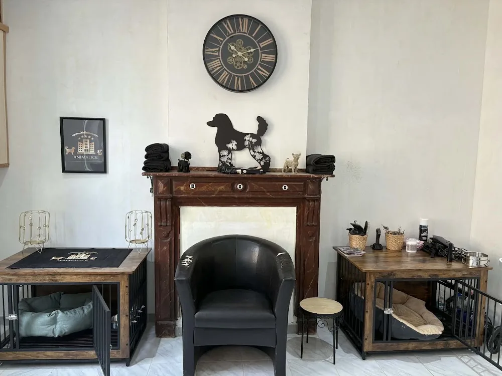 Animalice - Hainaut pet otel