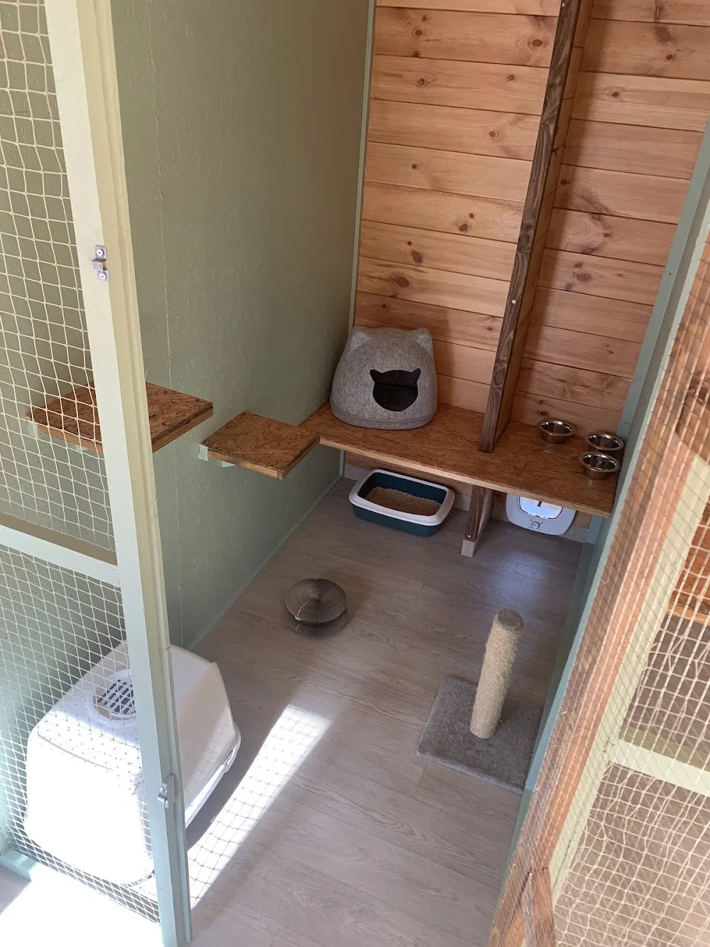 Au Chat'Let - Pension pour chats - Hainaut pet otel görseli 7