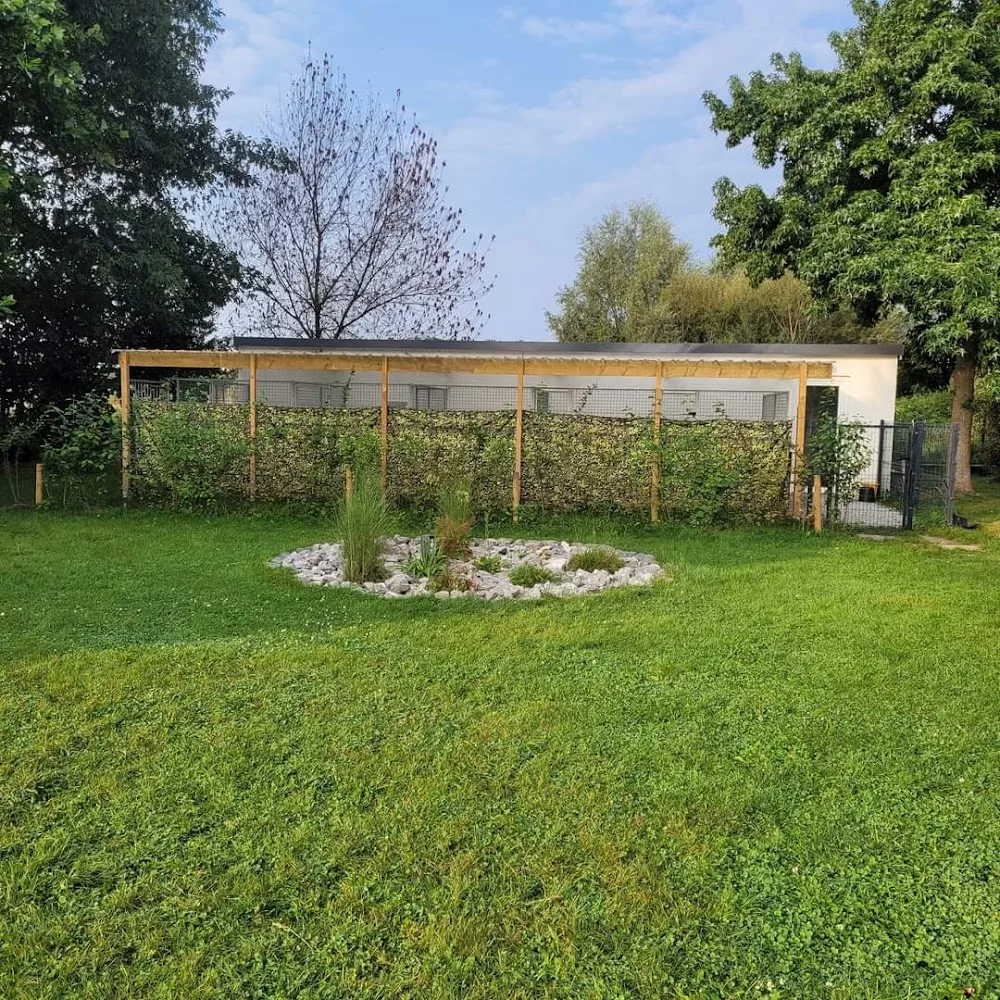 Aux prés des chiens - Hainaut pet otel