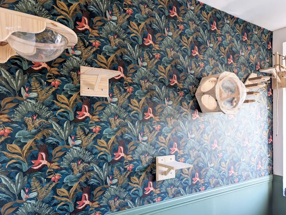 Le Charlton Hôtel Félin - Trélon - Hainaut pet otel görseli 3