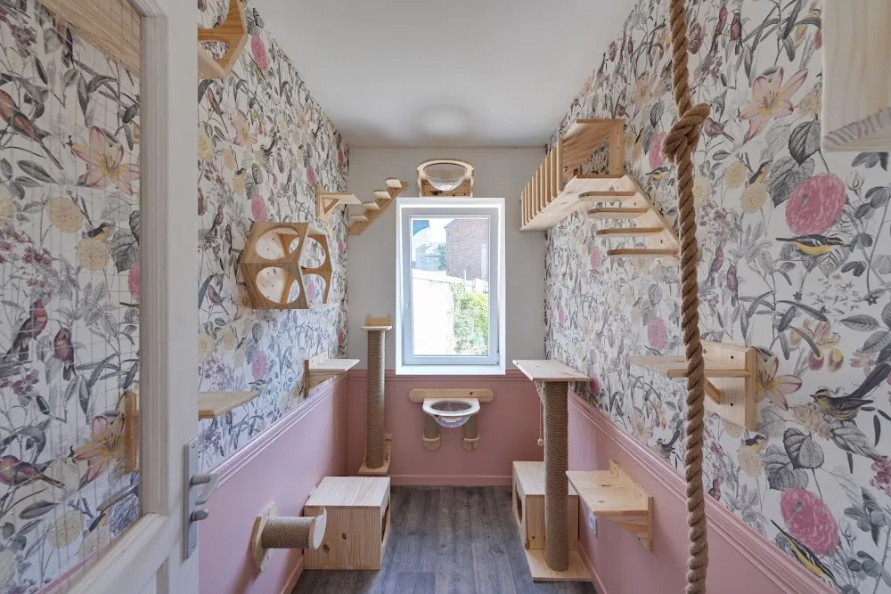 Le Charlton Hôtel Félin - Trélon - Hainaut pet otel görseli 6