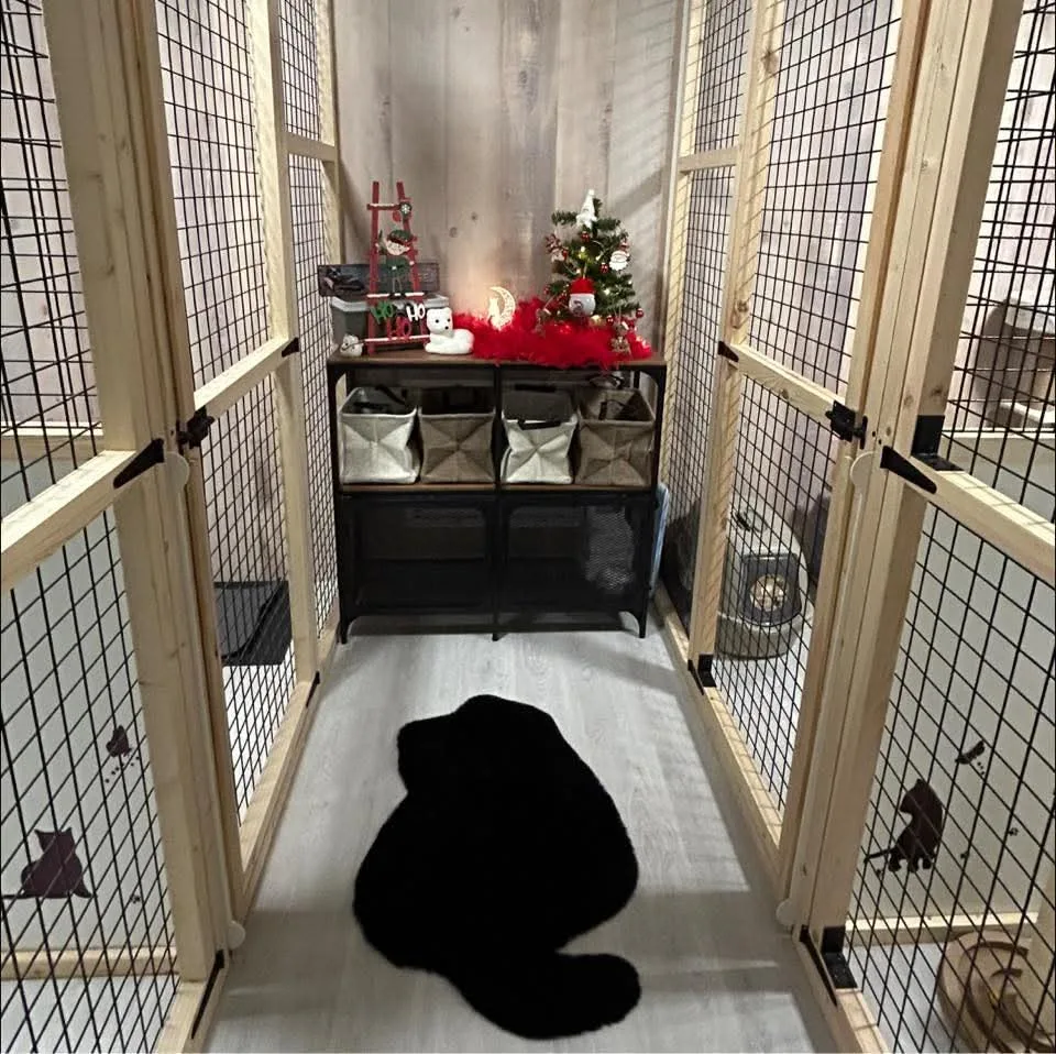Ô Chats des Bois - Hainaut pet otel görseli 2